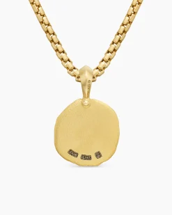 Aquarius Amulet 18K Yellow Gold, 17mm