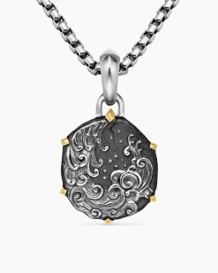 Aquarius Amulet Sterling Silver with 18K Yellow Gold, 23mm