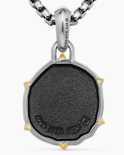 Aquarius Amulet Sterling Silver with 18K Yellow Gold, 23mm
