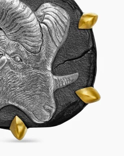 Aries Amulet Sterling Silver with 18K Yellow Gold, 23mm