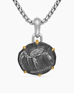 Cancer Amulet Sterling Silver with 18K Yellow Gold, 23mm