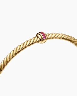 Classic Cablespira® Station Bracelet 18K Yellow Gold with Pavé Rubies, 3mm