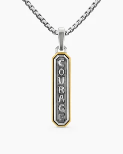 Courage Amulet Sterling Silver with 14K Yellow Gold, 35mm
