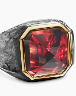 Hexagonal Signet Ring 18K Yellow Gold with Forged Carbon and Garnet, 17.7mm
