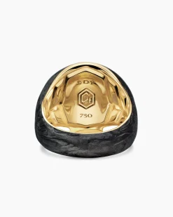 Memento Mori Skull Ring 18K Yellow Gold with Forged Carbon, 22mm