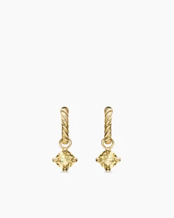 Micro Chatelaine® Drop Earrings 18K Yellow Gold with Champagne Citrine, 5mm