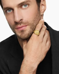 Petrvs® Horse Signet Ring 18K Yellow Gold, 18.3mm