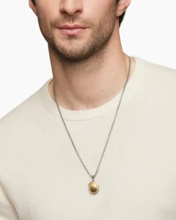 Petrvs® Scarab Amulet Sterling Silver with 18K Yellow Gold, 24mm