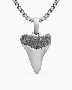 Shark Tooth Amulet Sterling Silver, 25.8mm