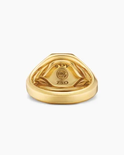 Streamline® Signet Ring 18K Yellow Gold with Pietersite, 14mm